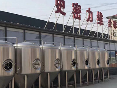 河西区街道精酿啤酒设备厂—如何判断精酿啤酒设备的密封件需要更换？